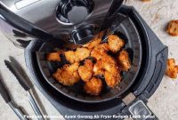 Panduan Memasak Ayam Goreng Air Fryer Renyah Lebih Sehat